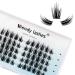 Individual Lashes C Curl Cluster Lashes 0.07mm 16mm DIY Lash Extensions Wide Stem Individual Eyelash Clusters Reusable Soft and Wispy Clusters Eyelash Extensions(FD-D33-0.07-C-16) RR-16mm D33-0.07-C
