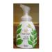 Trader Joe's Sweet Basil Foaming Hand Soap- 8 FL OZ (237 ml)