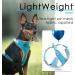 Thinkpet No-Pull Dog Harness Leash Set - Breathable Padded Reflective Safety Harness for Small Medium Large Dogs - Adjustable Running Harness (1 Pack) - Blue - Buy Online on SooperMarket.com