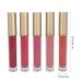 5pcs Liquid Lipstick Set - Long Lasting Waterproof Lip Gloss Matte Makeup (#01 WHISPER) - International Shipping Available - Buy Online on SooperMarket.com