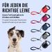 Buy High-Quality 5m Cong Roll-Out Dog Leash for Medium Dogs up to 30kg | Soft Grip & Reflective Belt | Durable Gray Design | Break & Lock System - Buy Online on SooperMarket.com