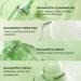 Torriden BALANCEFUL Cica Trial Kit | Vegan Gotu Kola Skincare 4-Step Regimen | Hypoallergenic Korean Skincare for All Skin Types - Buy Online on SooperMarket.com