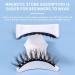 Magnetic Eyelashes with Applicator Reusable Dual Magnetic Lashes Kit without Eyeliner Magnetic Eyelashes Natural Look Wispy False Eyelashes No Glue or Liner Needed Easy to Wear - Buy Online on SooperMarket.com