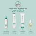 Biolage Scalp Sync Oil Balancing Serum - Lightweight Leave-In for Oily Scalp | Paraben & Silicone-Free | Vegan & Cruelty-Free - Reduce Excess Oil - Buy Online on SooperMarket.com