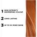 L'Or al Paris Colorista Permanent Gel Hair Dye - Copper | Long-Lasting Vibrant Color with High-Intensity Hues for Up to 3x More Shine - Buy Online on SooperMarket.com