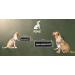 2 Pieces P24S K9 Dog Harness Velcro Stickers for Small & Medium Dogs - Custom Name - Small White - Buy Online on SooperMarket.com