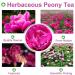 Plant Gift 100% Natural Herbaceous Peony Tea 30g Pink Peony Bud Flower Tea Healthy Dried Flowers for Soap Making Supplies Also for All Kinds of Flower Crafts - Buy Online on SooperMarket.com