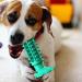 Shenrongtong Dog Toys for Teeth Grinding | Conical Tooth Care for Puppies | Classic Sound Dog Toothbrush (Lake Blue) | Veterinary & Animal Shop Essential - Buy Online on SooperMarket.com