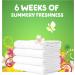Gain Botanicals Orange Blossom Vanilla Plant Based Laundry Detergent 46 fl oz - Pack of 2 | HE Compatible, 32 Loads - Buy Online on SooperMarket.com