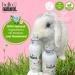 Dry Shampoo Powder | Benzene Free & Non-Aerosol | 100% Natural Vegan Formula | Large Size | Long Lasting & Recyclable | Shop Internationally - Buy Online on SooperMarket.com