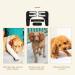 Dog Leg Brace Stability Pet Elbow Brace Convenient Steady for Pet Elbow Pad Puppy Dog(Black M) - Buy Online on SooperMarket.com