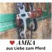 AMKA Hackamore Baroque 3-Ring - Black Leather Noseband | International Shipping Available - Buy Online on SooperMarket.com