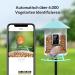 Netvue Bird Feed Donor & Camera - AI-Powered Bird Feeder with Species Detection | Bird House & Feed Stations for Wild Birds - Buy Online on SooperMarket.com