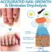 Nail Growth and Repair Serum Nail Strengthening and Growth Conditioner Nourish Strengthen And Revitalize Your Nails (3 Pcs) - Buy Online on SooperMarket.com