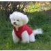 Warm Fleece Lined Dog Jacket - Windproof & Soft Winter Vest for XS Dogs (Red) - Joydaog - Buy Online on SooperMarket.com