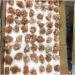 Stone Crafts Natural Beautiful Flowery Orange Aragonite Crystal Cluster Specimen Reiki Crystals - Buy Online on SooperMarket.com