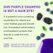 Just Nutritive Purple Toning Shampoo for Blonde Gray & Bleached Hair - Eliminate Brassiness Boost Shine & Hydrate | Sulfate & Paraben-Free - 8 oz - Buy Online on SooperMarket.com