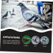 Angoily 300 Pcs Pigeon Anklet Duck Oyster Shell for Pigeon Identification Ring Network Management Bayonet 1.3X1.3CMx3pcs Blackx3pcs - Buy Online on SooperMarket.com