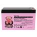 CB1270 12V 7AH Sealed Lead Acid Rechargeable Battery Used in Security Fire Alarm