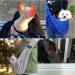 CUBY Reversible Pet Dog Sling Carrier - Hands-free Double-sided Pouch for Puppy and Kitty - Striped Grey - 32x20x8cm - Buy Online on SooperMarket.com