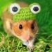 Xuniea Mini Hand Knitted Hat - Pet Costume Accessories for Small Animals - Buy Online on SooperMarket.com
