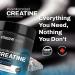 Vitasave Creatine Monohydrate Powder - Creatine Supplement For Performance & Muscle Gains - Pure & Ultra-Fine Powder for Enhanced Absorption - Fitness Essential for Athletes & Bodybuilders - Made in Canada (1000g) - Buy Online on SooperMarket.com