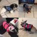 HAOCOO Dog Life Jacket Vest Swimsuit with Reflective Stripes - Pink Polka Dot XL - Buy Online on SooperMarket.com