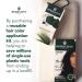 Herbatint Application Kit - 3.2 oz for Perfect Hair Color Results - Buy Online on SooperMarket.com