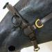 Buy PS Horse French Cavesson Cavecon with D-Rings - Soft Full Brown with Gold Fittings | International Shipping Available - Buy Online on SooperMarket.com