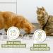 Catz Finefood MEATZ Cats Kalb N 5 - Grain-Free Veal Snacks for Cats - Crunchy & Healthy Treats 45g - Buy Online on SooperMarket.com