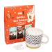 Gnaw Mixed Hot Chocolate Shot Trio - A Trio of Tempting Mochaccino Zesty Orange and Velvety Milk Chocolate Delights Sustainable Chocolate The Perfect Choc Gift