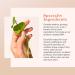 Erborian Centella Cleansing Balm - Gentle Melting Cleanser for Face & Eyes - 80g | International Shipping - Buy Online on SooperMarket.com