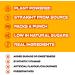 MOJU Health Shots - Vitality Pack (24x60ml) 12x Ginger & 12x Turmeric Shots Immune Support Exercise Recovery No Added Sugar or Sweeteners Vegan Vitality 1 count (Pack of 24) - Buy Online on SooperMarket.com