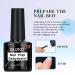 Professional Acrylic Nail Kit for Beginners - Includes Prep Dehydrator, Primer, Acrylic Powder & Liquid, Nail Tips, Glue, and Brush - White, Clear, Pink - Buy Online on SooperMarket.com