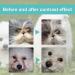 Eye Care Tear Stain Remover for Dogs & Cats - Effective Eye Drops for Inflammation - Better than Ointment - Buy Online on SooperMarket.com