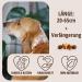 PetLove 100% Baltic Amber Necklace for Dogs & Cats - 20cm Collar for Natural Wellness - Buy Online on SooperMarket.com