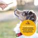 Hey Pets Puppy Sticks - Natural Grain-Free Chewing Bones for Small Dogs & Puppies | 100% Premium Cattle | 500g Dental Care Treats | International Shipping - Buy Online on SooperMarket.com