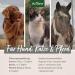 AniForte Premium Salmon Oil 500ml for Dogs, Cats, Horses & Pets - 100% Pure Norwegian Fish Oil with Omega 3, 6, EPA, DHA & ALA for Coat, Skin, Joints & Brain Health - Buy Online on SooperMarket.com