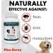 Natural Flea Away Repellent for Dogs and Cats - 100 Chewable Tablets - Buy Online on SooperMarket.com