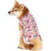Cool Summer T-Shirt for Medium & Large Dogs | Breathable Pet Clothing with Sun Protection | Stylish Rainbow Vest Outfit - Buy Online on SooperMarket.com