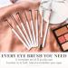 Rose Gold Eye Makeup Brush Set by Lily England - 8 Professional Brushes for Blending Eyeshadow, Concealer, Brows, and Eyeliner - Buy Online on SooperMarket.com