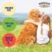 Bath & Brush Therapies Pumpkin Spice Pet Cologne 4.5 oz | Long-Lasting Odor Eliminator for Dogs | Cruelty-Free, Paraben-Free, Biodegradable, Non-Toxic | Made in USA - Buy Online on SooperMarket.com