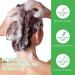 Hair Growth Serum & Rosemary Shampoo - Biotin & Castor Oil for Hair Loss | Effective Regrowth Products for Women & Men - Buy Online on SooperMarket.com