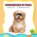 Ownpets Dog Glasses UV Protection Goggles for Small and Medium Dogs - Black Regular Style Medium - Buy Online on SooperMarket.com