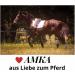 Buy AMKA Leather Cavesson with Bit Buckle - Premium Quality & Comfort for Equine Enthusiasts | International Shipping Available - Buy Online on SooperMarket.com