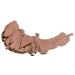 wet n wild Color Icon Satin Eyeshadow Single - Nutty Nutty 0.05 oz | High Pigment, Long Lasting - Buy Online on SooperMarket.com