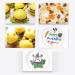Food Coloring Pens Color Double Sided Edible Food Coloring Marker with Fine and Thick Tip Food Grade Marker Silver - Buy Online on SooperMarket.com