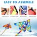 TOY Life 2 Pack Airplane Kites for Kids | Easy-to-Fly Large Beach Kite Set | Ideal Outdoor Gift for Children - Buy Online on SooperMarket.com