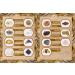 Rokkolino Treasure Chest: Real Minerals Gemstones & Fossils - Discover Nature's Treasures - Buy Online on SooperMarket.com