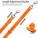 Suplutux 10m Dog Leash with Storage Bag - Durable Training Line for Large & Small Dogs - D-Carabiner & Grip Pad - Orange - Buy Online on SooperMarket.com
